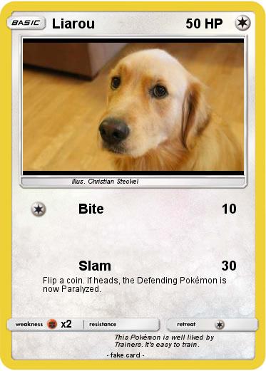 Pokemon Liarou
