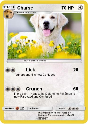 Pokemon Charse