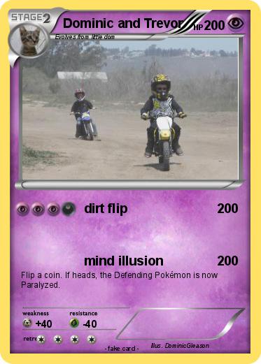 Pokemon Dominic and Trevor