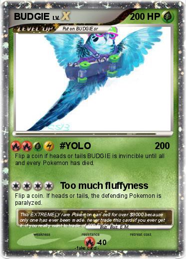 Pokemon BUDGIE