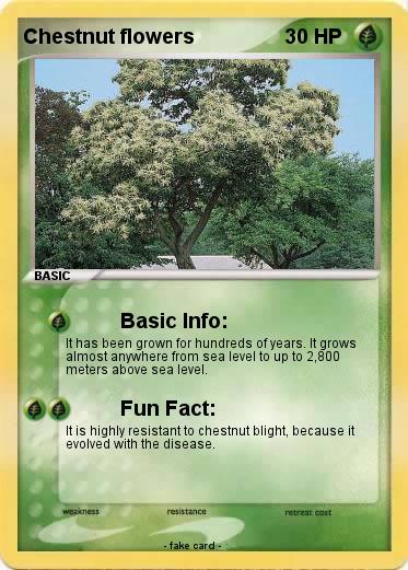 Pokemon Chestnut flowers