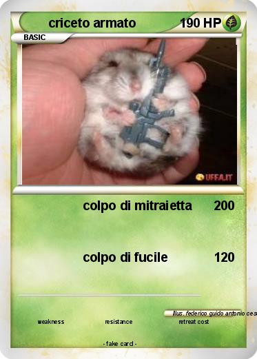 Pokemon criceto armato