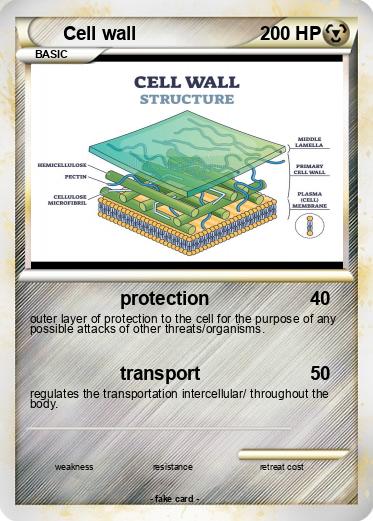 Pokemon Cell wall