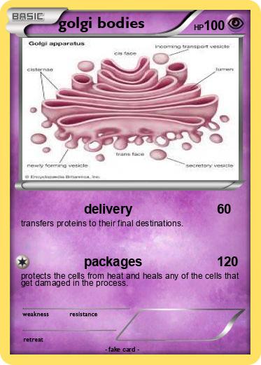 Pokemon golgi bodies