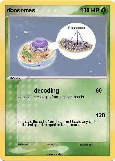 Pokemon ribosomes