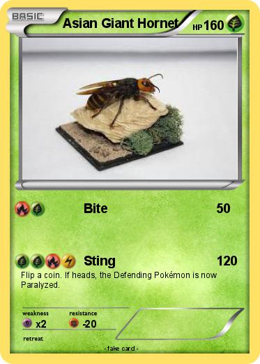 Pokemon Asian Giant Hornet