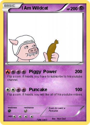 Pokemon I Am Wildcat