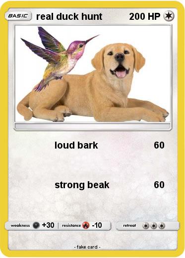 Pokemon real duck hunt