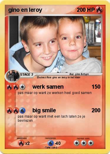 Pokemon gino en leroy