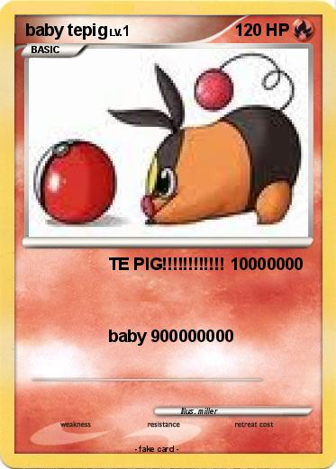 Pokemon baby tepig