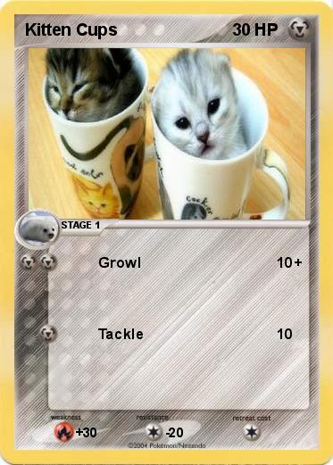 Pokemon Kitten Cups