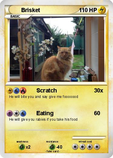 Pokemon Brisket