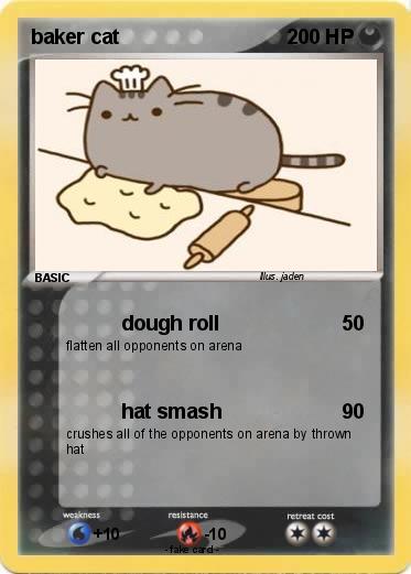 Pokemon baker cat