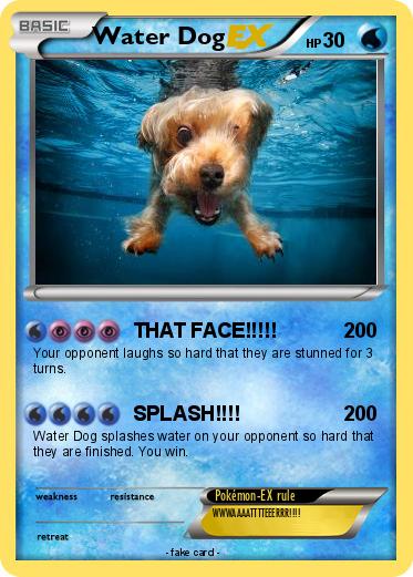 Pokemon Water Dog