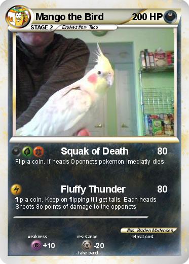 Pokemon Mango the Bird