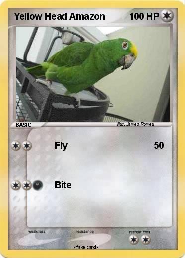 Pokemon Yellow Head Amazon
