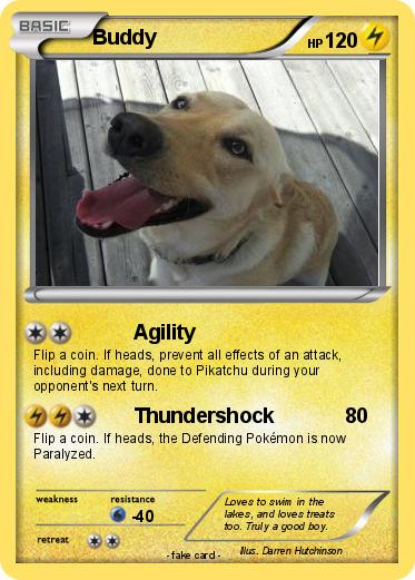 Pokemon Buddy