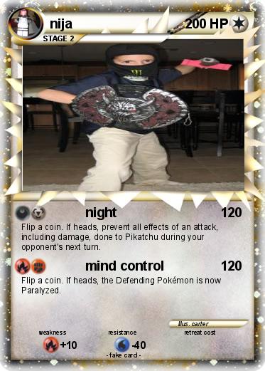 Pokemon nija