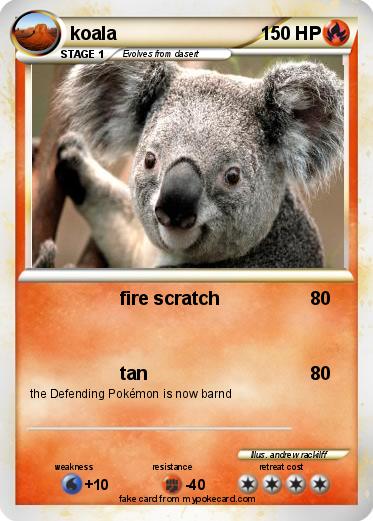 Pokemon koala