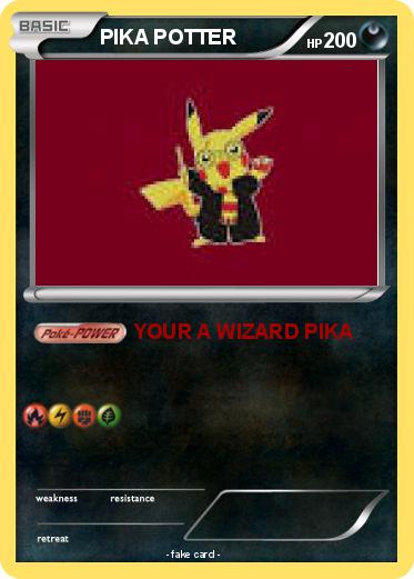Pokemon PIKA POTTER