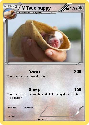 Pokemon M Taco puppy