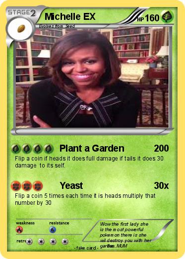 Pokemon Michelle EX