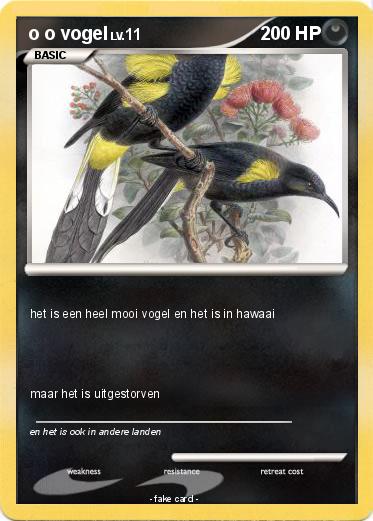 Pokemon o o vogel