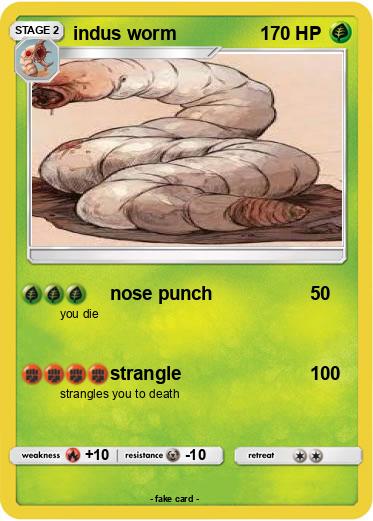 Pokemon indus worm