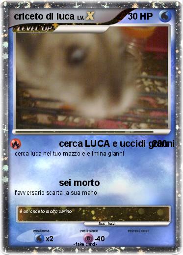 Pokemon criceto di luca