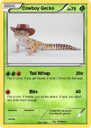 Pokemon Cowboy Gecko