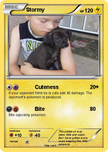 Pokemon Stormy