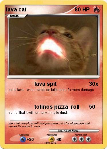 Pokemon lava cat