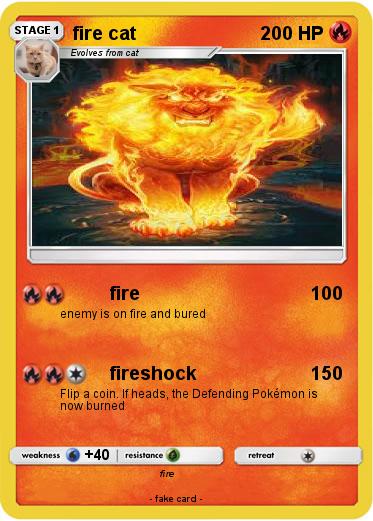 Pokemon fire cat