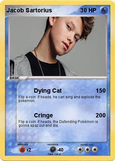 Pokemon Jacob Sartorius