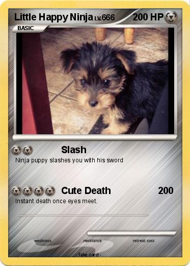 Pokemon Little Happy Ninja