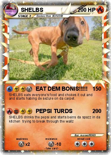 Pokemon SHELBS