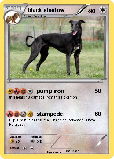 Pokemon black shadow