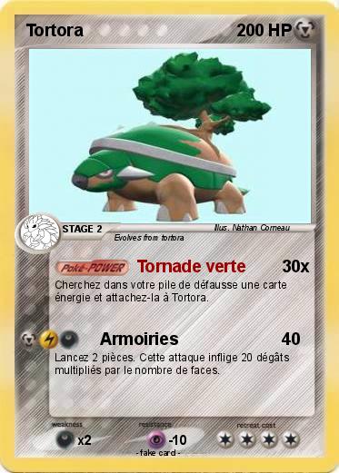 Pokemon Tortora