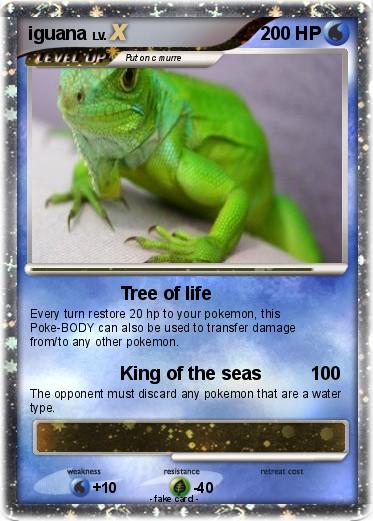 Pokemon iguana