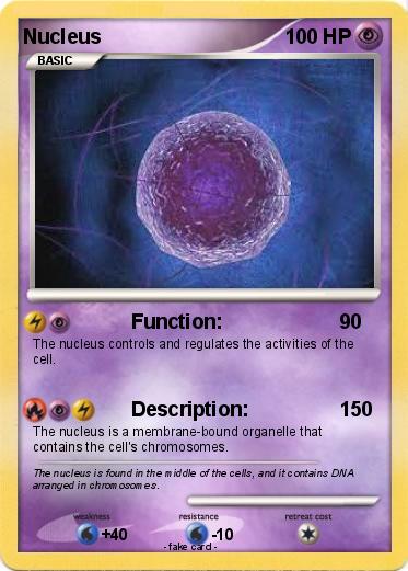 Pokemon Nucleus