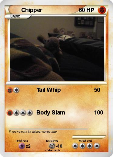 Pokemon Chipper