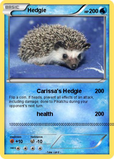 Pokemon Hedgie