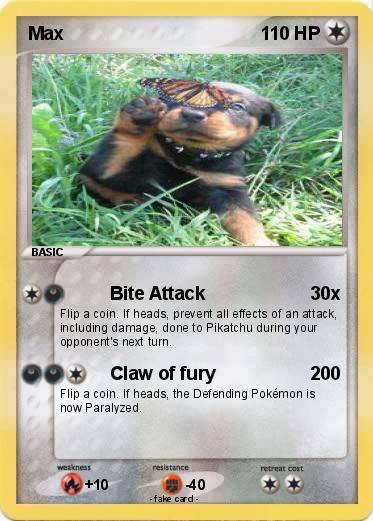 Pokemon Max