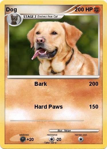 Pokemon Dog