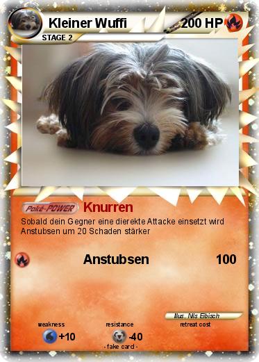Pokemon Kleiner Wuffi