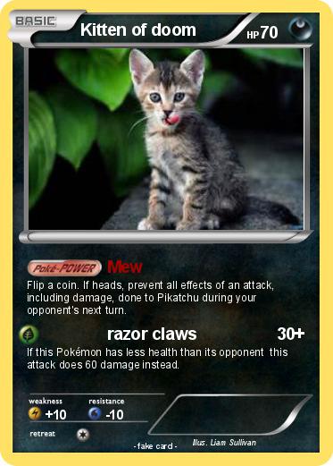 Pokemon Kitten of doom