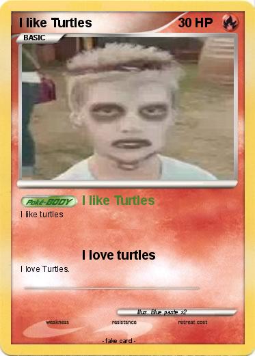 Pokemon I like Turtles