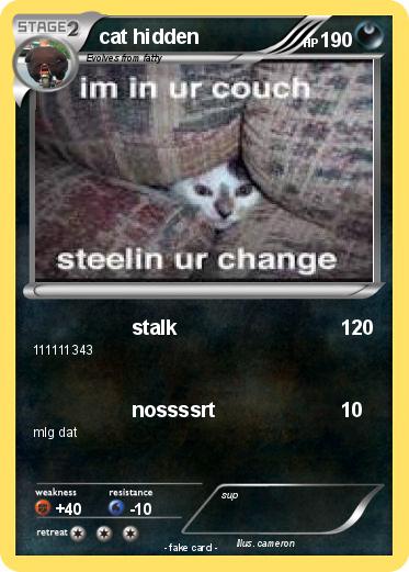 Pokemon cat hidden