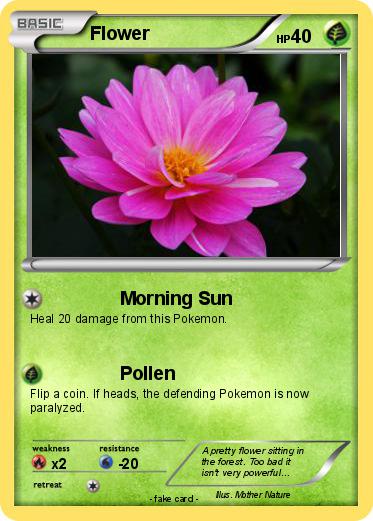 Pokemon Flower