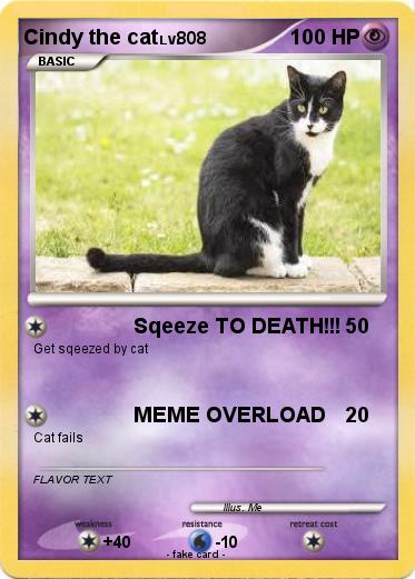 Pokemon Cindy the cat